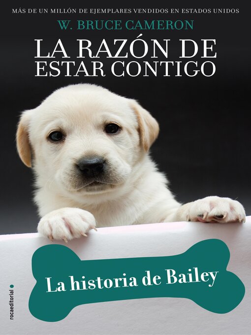 Title details for La historia de Bailey by Adrian Besley - Available